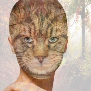 la femme chat avec fond.jpg