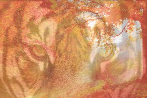 tree-736877_1280 (1)